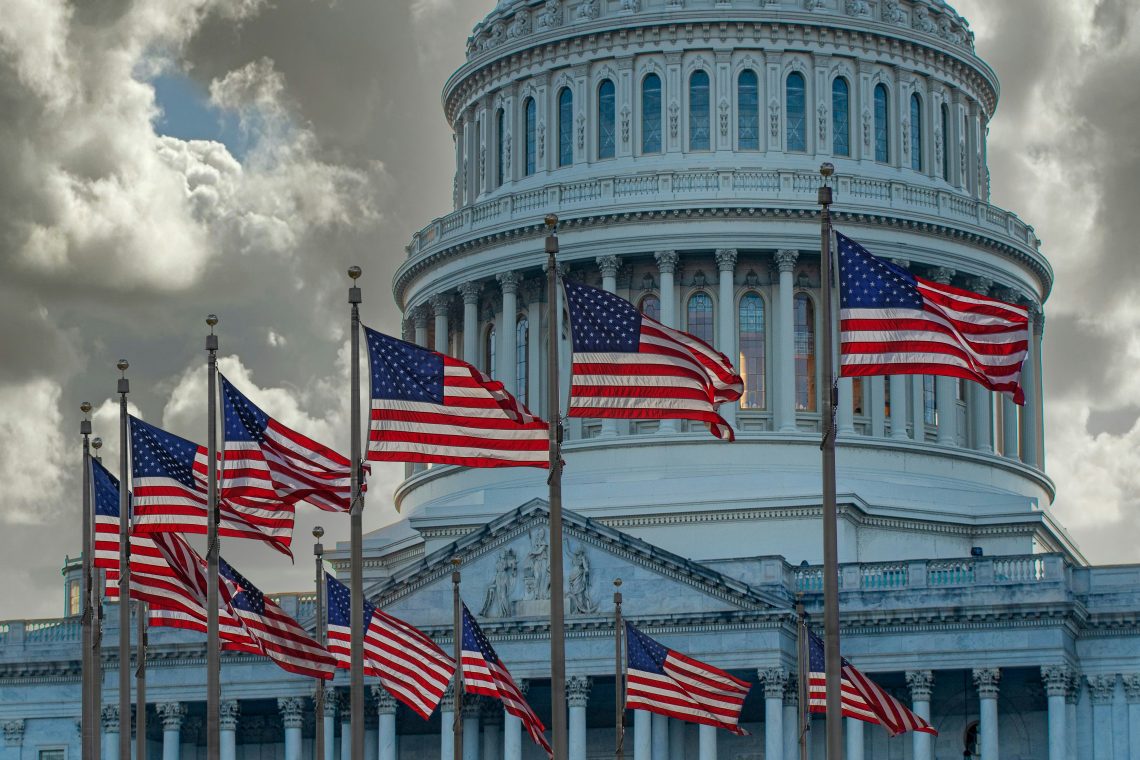 USA flags in front of the United States Capitol