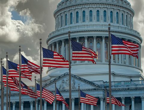 USA flags in front of the United States Capitol