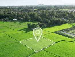 a landscape shot of green squares of land, bordered by trees, with a location symbol over a center square