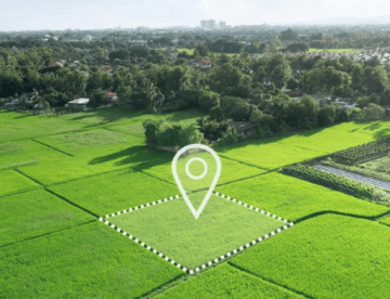 a landscape shot of green squares of land, bordered by trees, with a location symbol over a center square