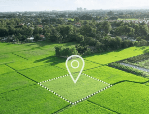 a landscape shot of green squares of land, bordered by trees, with a location symbol over a center square
