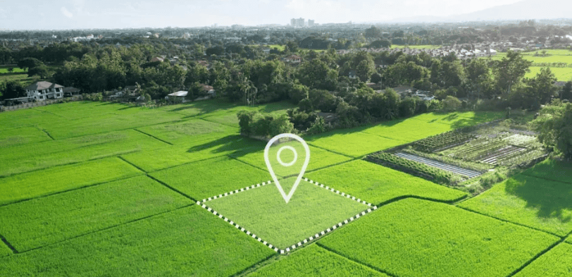 a landscape shot of green squares of land, bordered by trees, with a location symbol over a center square